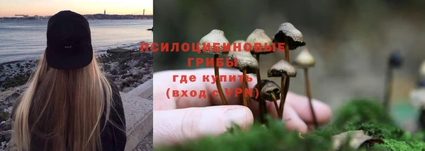 спиды Ростов