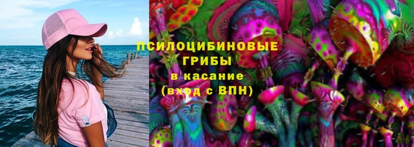 хмурый Алексеевка